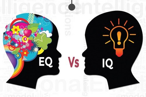 IQ và EQ cái nào quan trọng hơn? Chọn yếu tố gì trong tuyển dụng